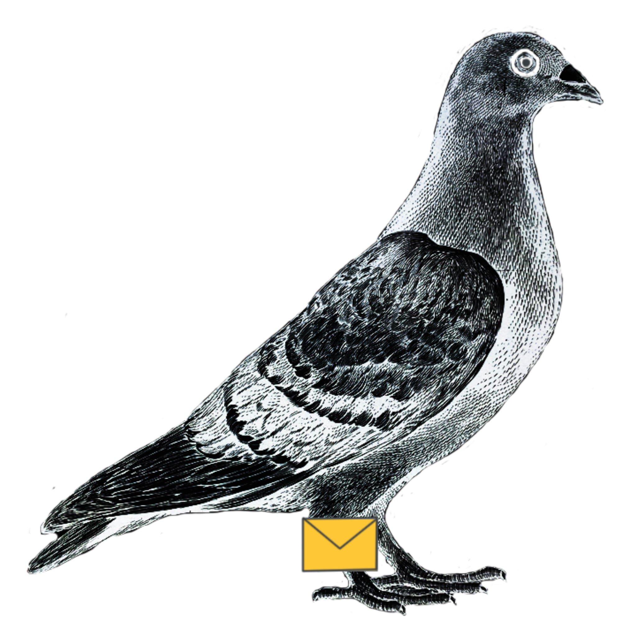 Fiveways Arts and Crafts