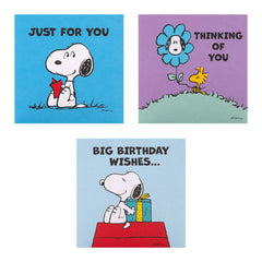 Hallmark Peanuts™ Snoopy Greeting Cards Multipack of 10