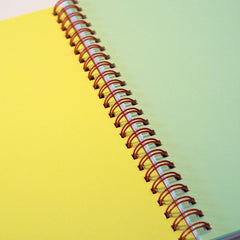 Odd Goose Funky Rainbow Foil Printed Notebook