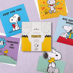 Hallmark Peanuts™ Snoopy Greeting Cards Multipack of 10