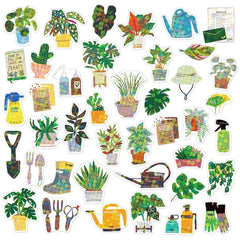 Japanese HACO Sticker Box Green Market