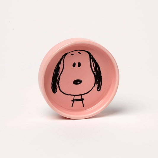Magpie x Peanuts Pin Dish Visage