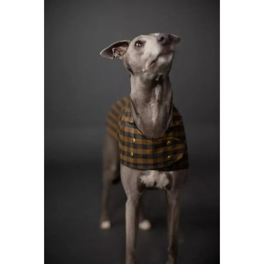 Merchant and Mills The Barka Dog Coat Sewing Pattern