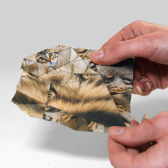 Pikkii Origami Paper Cats