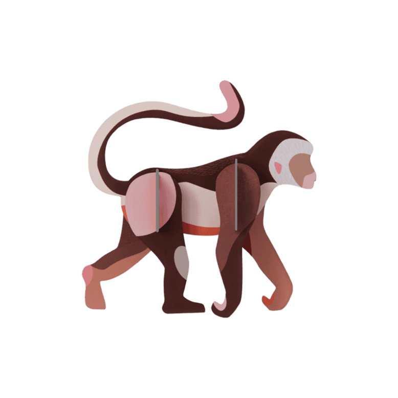 Studio Roof Monkey Wall Art