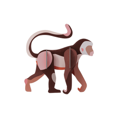 Studio Roof Monkey Wall Art