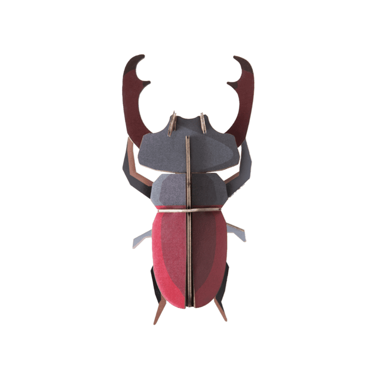 Studio Roof Stag Beetle Wall Art