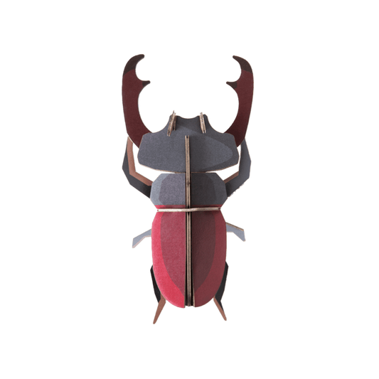 Studio Roof Stag Beetle Wall Art
