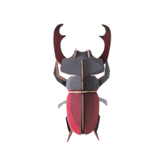 Studio Roof Stag Beetle Wall Art