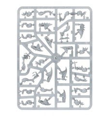 Warhammer Age of Sigmar Squig Herd