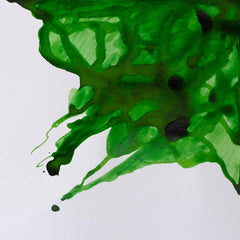Winsor & Newton Apple Green Drawing Ink