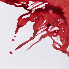 Winsor & Newton Brick Red Drawing Ink