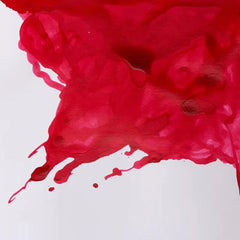 Winsor & Newton Carmine Drawing Ink