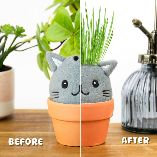 Gift Republic Cat Pals Grow Kit