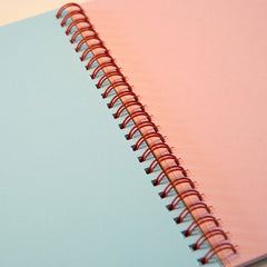 Odd Goose Funky Rainbow Foil Printed Notebook